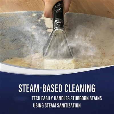 Pet Stains? Fabric Steam Cleaner Win